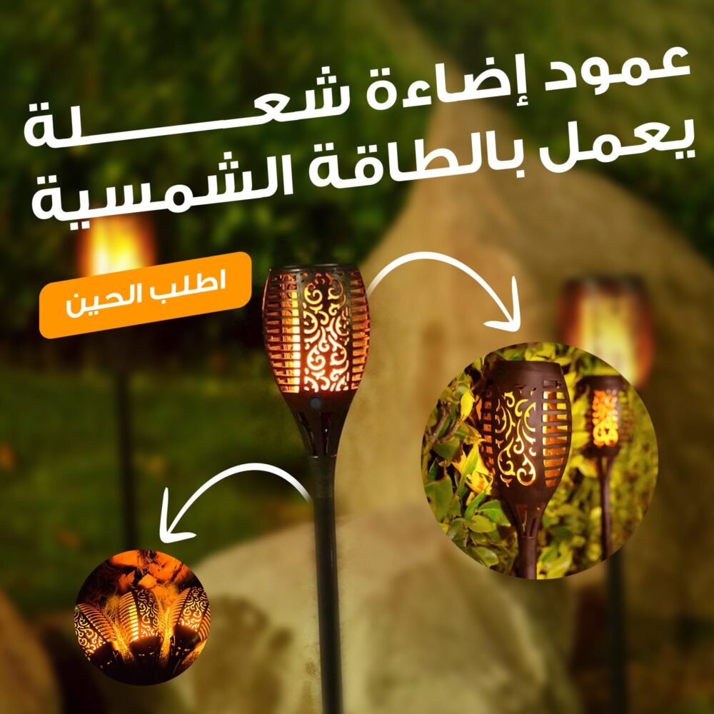 ⁦E⁩ - الصورة ⁦6⁩