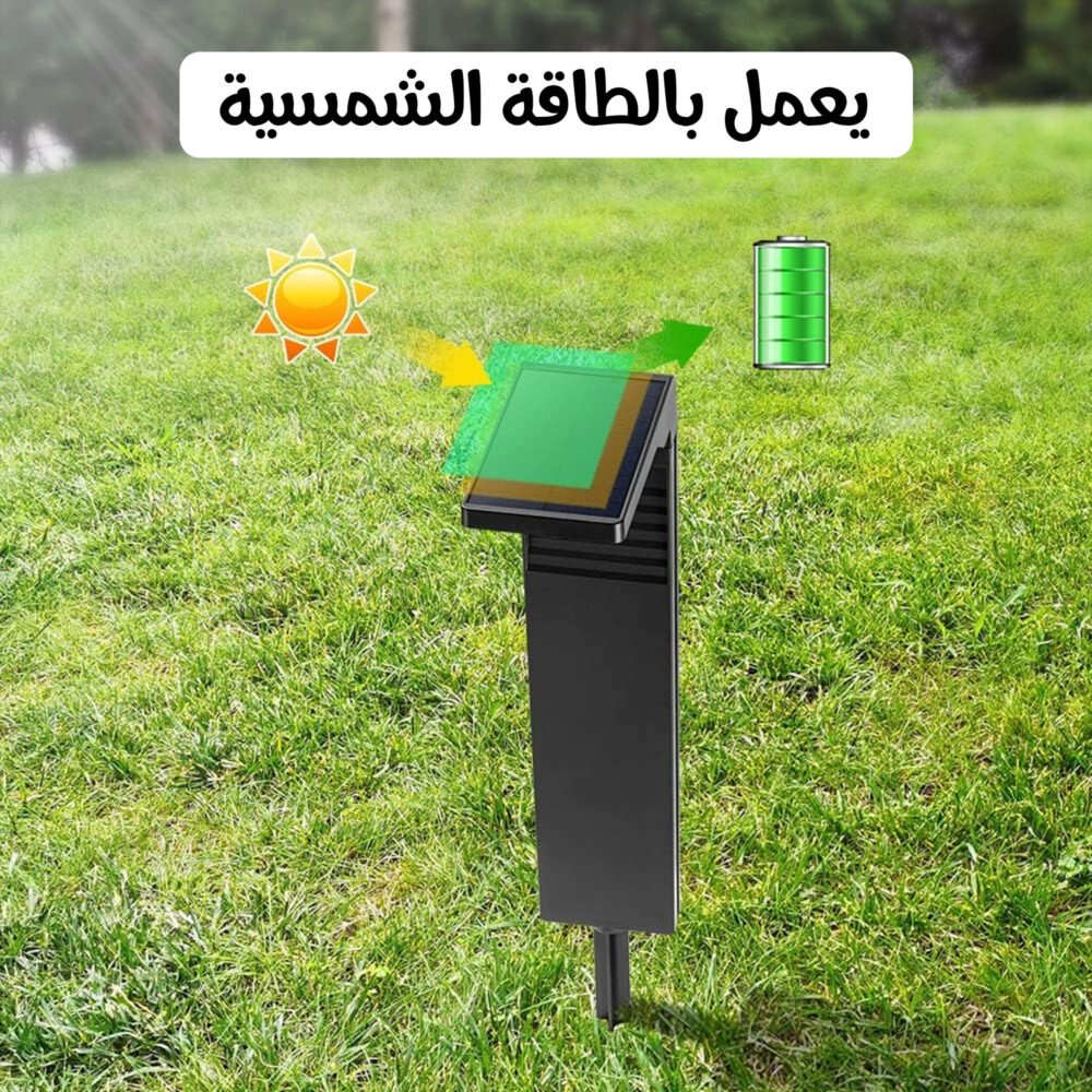 ⁦ت⁩ - الصورة ⁦3⁩