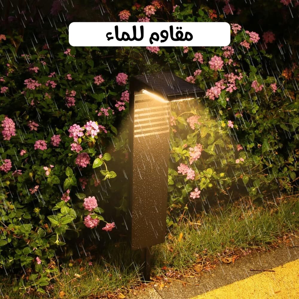 ⁦ت⁩ - الصورة ⁦4⁩